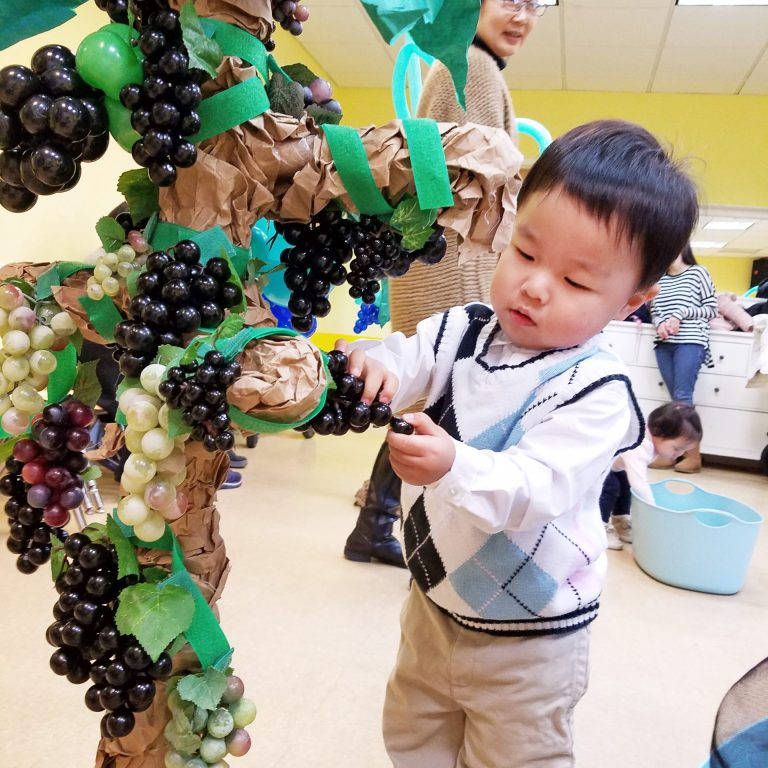 우와~ 포도나무가!